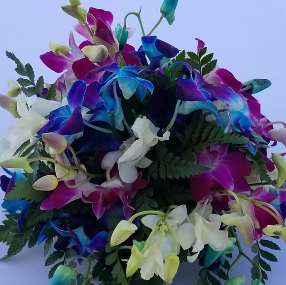 Meet your Posher, Sara - Picture 1 of 1